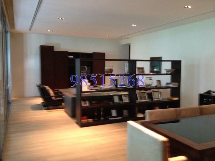 Nassim Park Residences (D10), Condominium #158019932